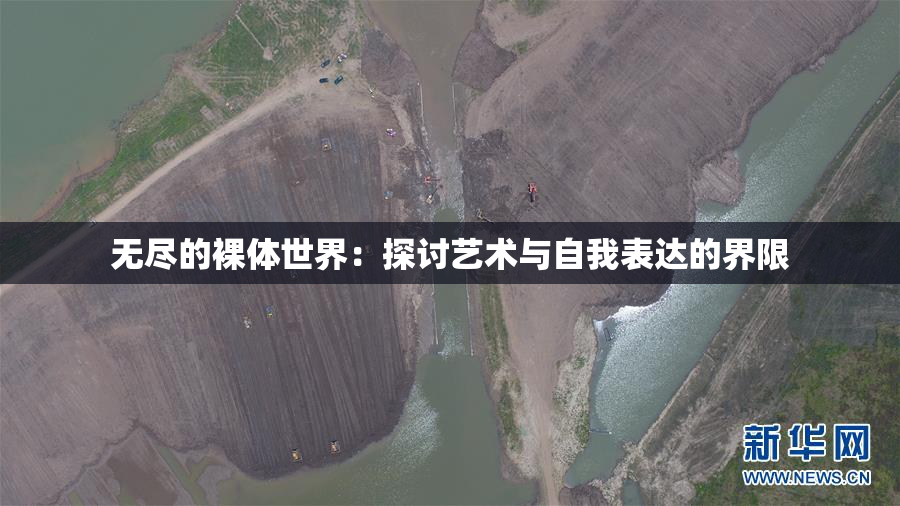 无尽的裸体世界：探讨艺术与自我表达的界限