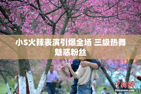 小S火辣表演引爆全场 三级热舞魅惑粉丝