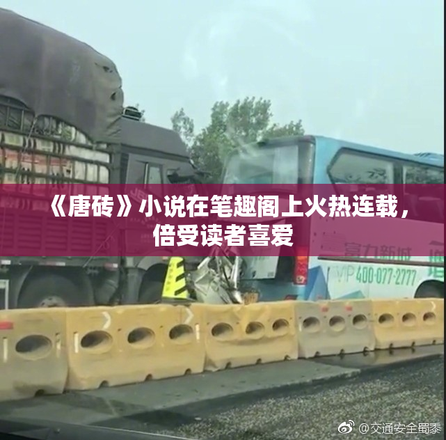 《唐砖》小说在笔趣阁上火热连载，倍受读者喜爱