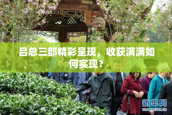 吕总三部精彩呈现，收获满满如何实现？