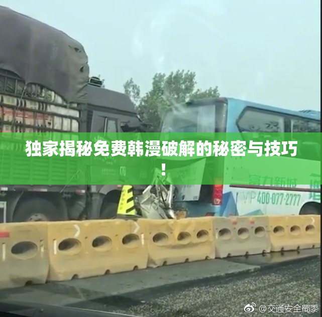 独家揭秘免费韩漫破解的秘密与技巧！