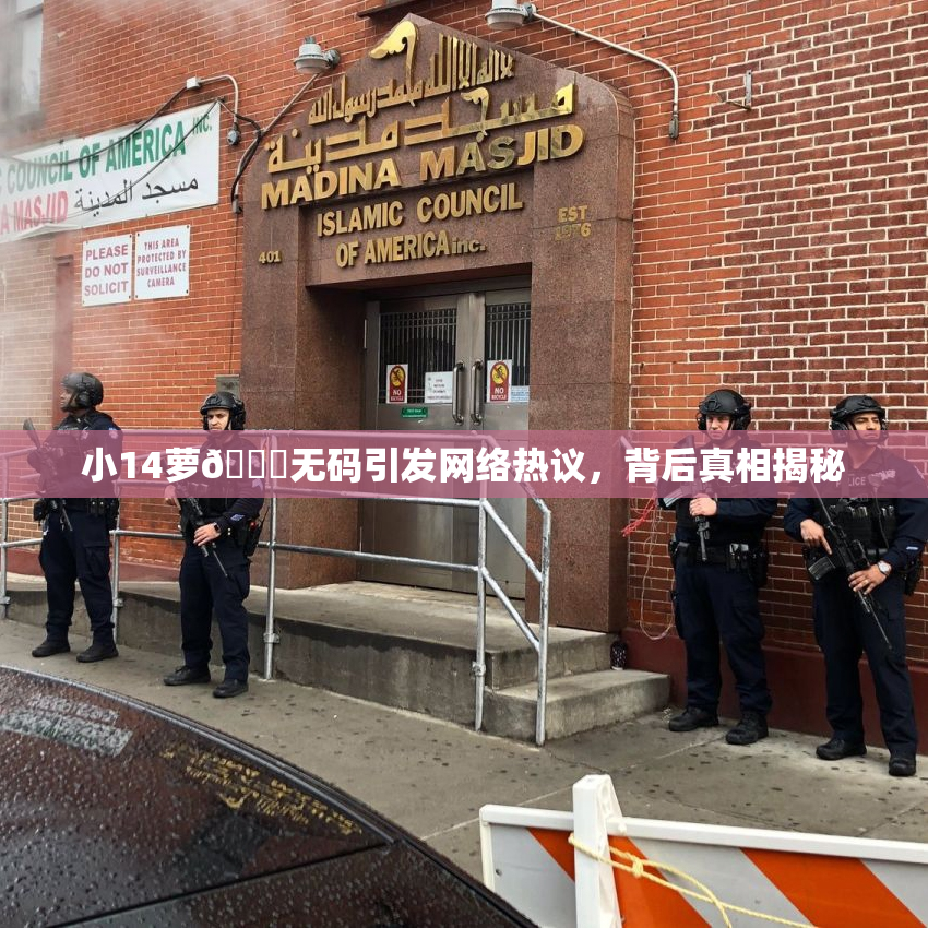 小14萝🔞无码引发网络热议，背后真相揭秘