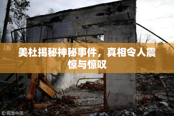 美杜揭秘神秘事件，真相令人震惊与惊叹