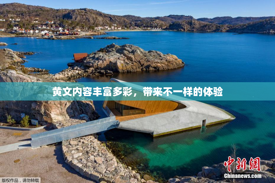 黄文内容丰富多彩，带来不一样的体验