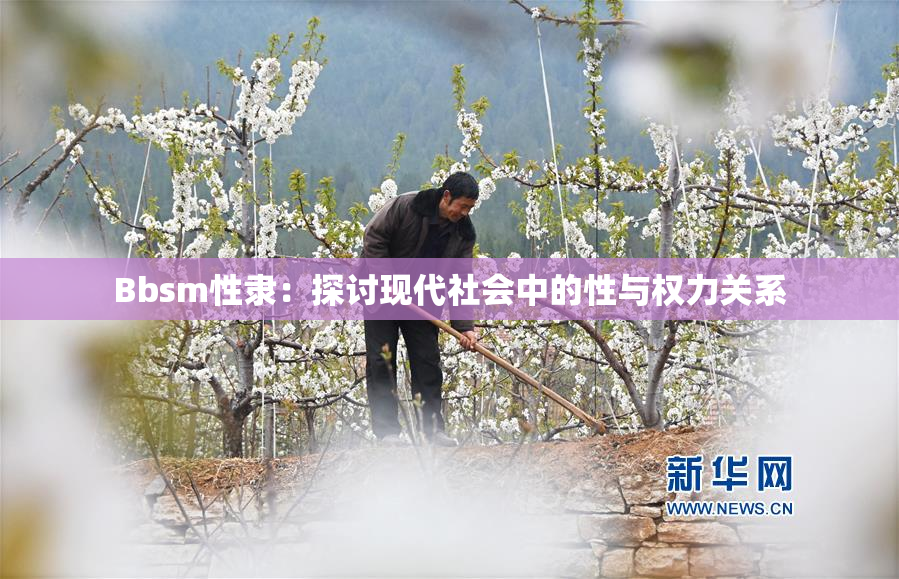 Bbsm性隶：探讨现代社会中的性与权力关系