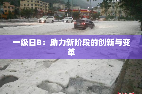 一级日B：助力新阶段的创新与变革