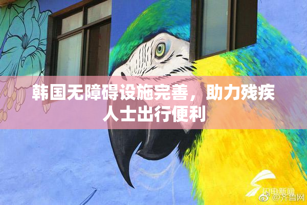 韩国无障碍设施完善，助力残疾人士出行便利