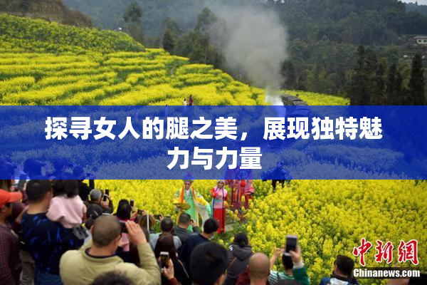 探寻女人的腿之美，展现独特魅力与力量