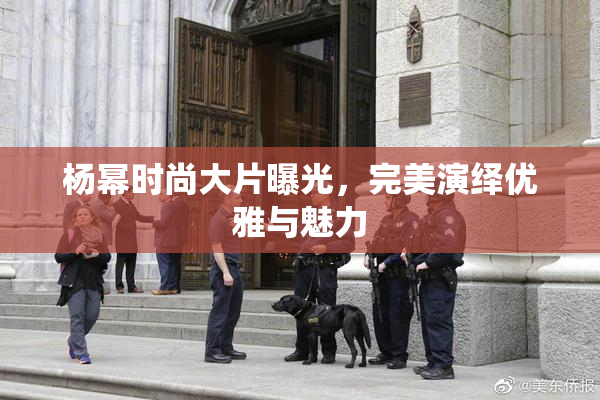 杨幂时尚大片曝光，完美演绎优雅与魅力