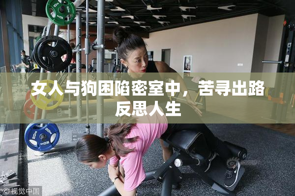 女人与狗困陷密室中，苦寻出路反思人生
