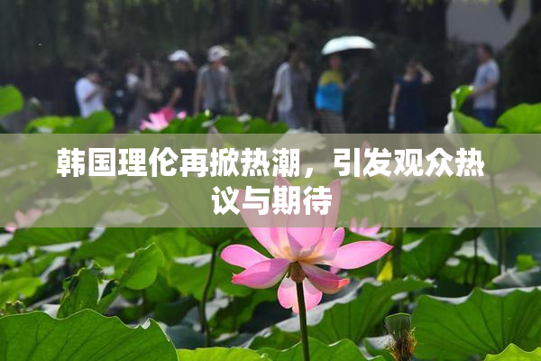 韩国理伦再掀热潮，引发观众热议与期待