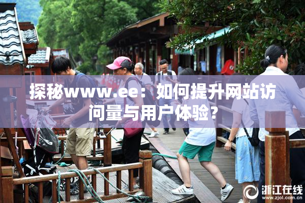 探秘www.ee：如何提升网站访问量与用户体验？