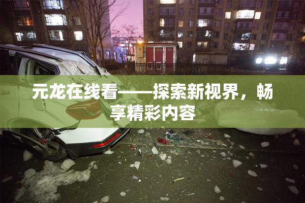 元龙在线看——探索新视界，畅享精彩内容