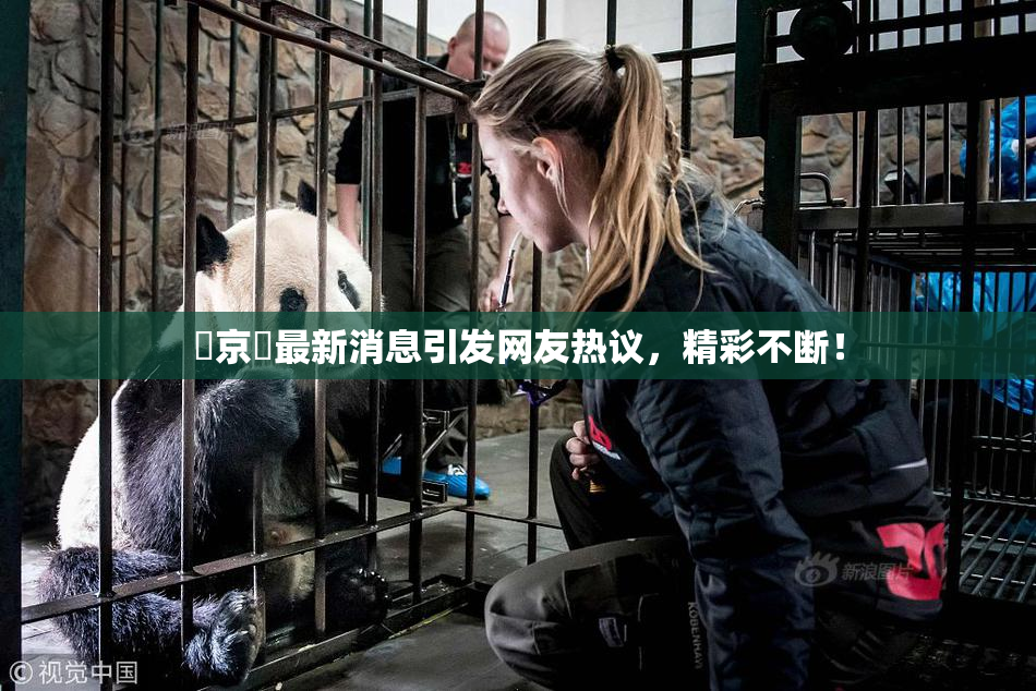 東京熱最新消息引发网友热议，精彩不断！