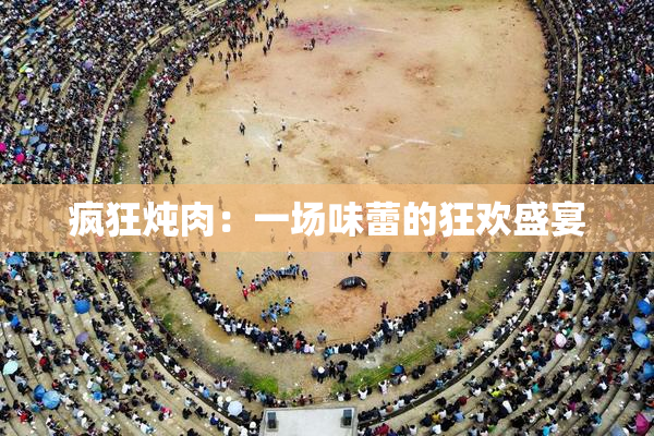 疯狂炖肉：一场味蕾的狂欢盛宴