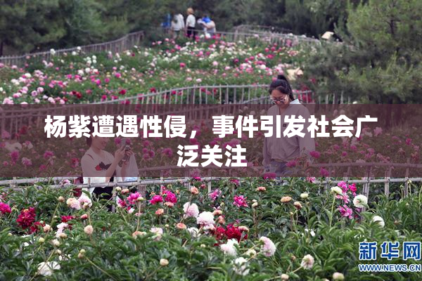 杨紫遭遇性侵，事件引发社会广泛关注