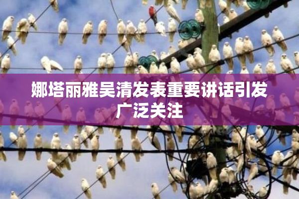 娜塔丽雅吴清发表重要讲话引发广泛关注