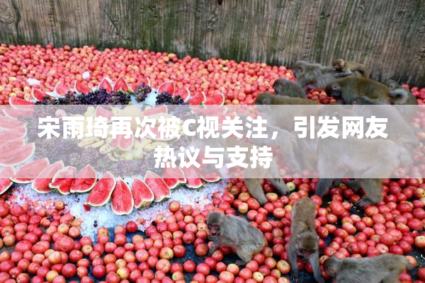 宋雨琦再次被C视关注，引发网友热议与支持