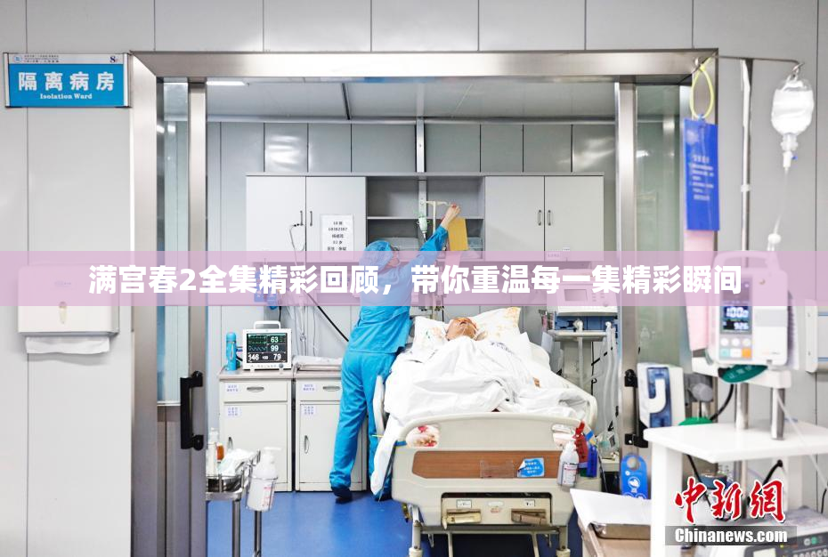 满宫春2全集精彩回顾，带你重温每一集精彩瞬间