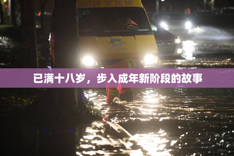 已满十八岁，步入成年新阶段的故事