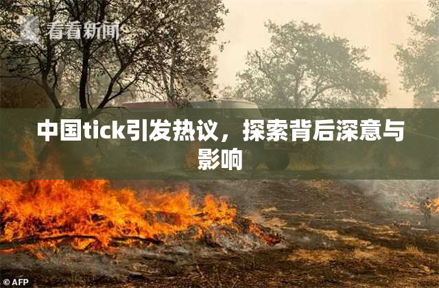 中国tick引发热议，探索背后深意与影响
