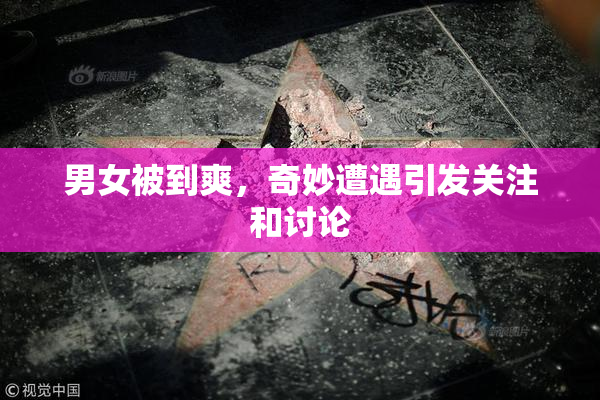 男女被到爽，奇妙遭遇引发关注和讨论