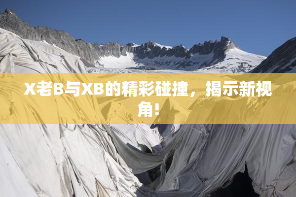 X老B与XB的精彩碰撞，揭示新视角!