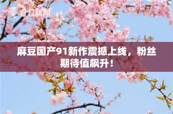 麻豆国产91新作震撼上线，粉丝期待值飙升！