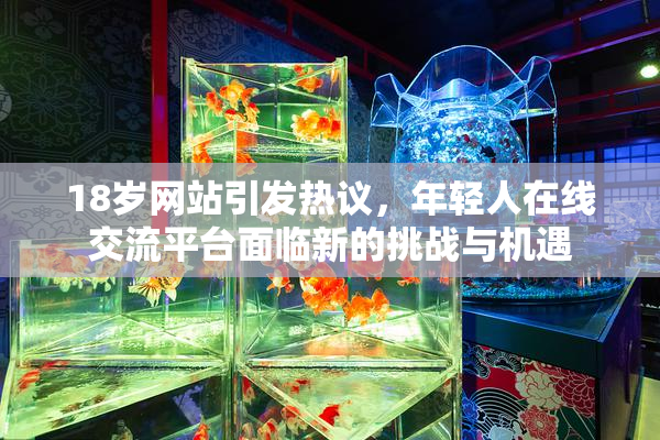 18岁网站引发热议，年轻人在线交流平台面临新的挑战与机遇