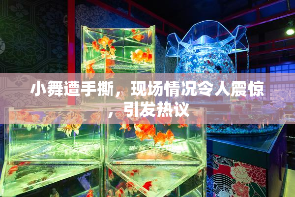 小舞遭手撕，现场情况令人震惊，引发热议