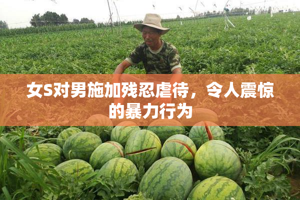 女S对男施加残忍虐待，令人震惊的暴力行为
