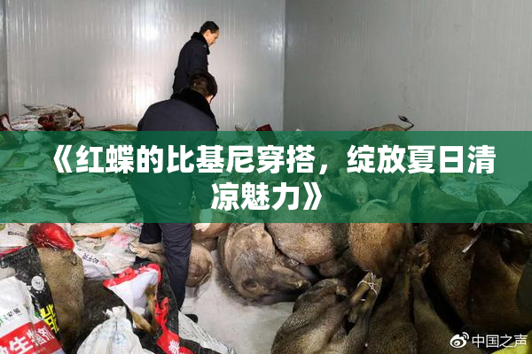 《红蝶的比基尼穿搭，绽放夏日清凉魅力》