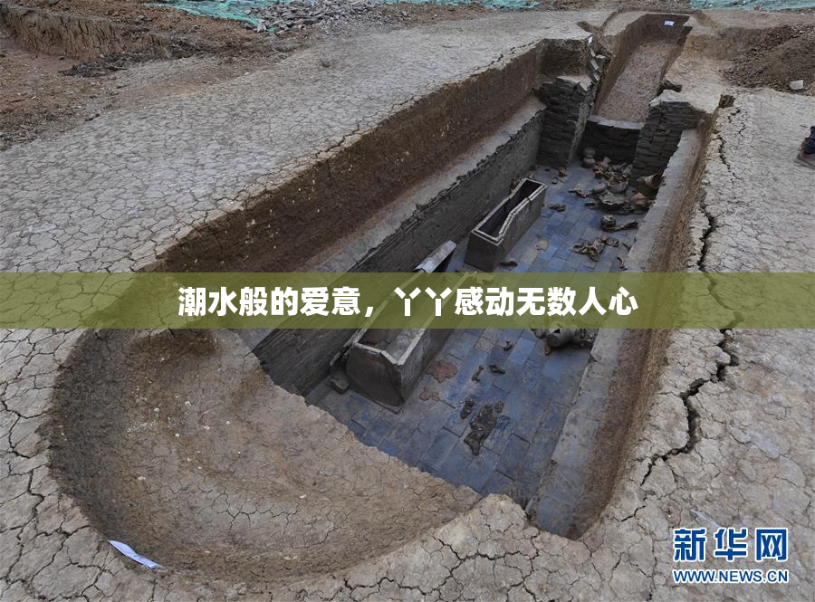 潮水般的爱意，丫丫感动无数人心