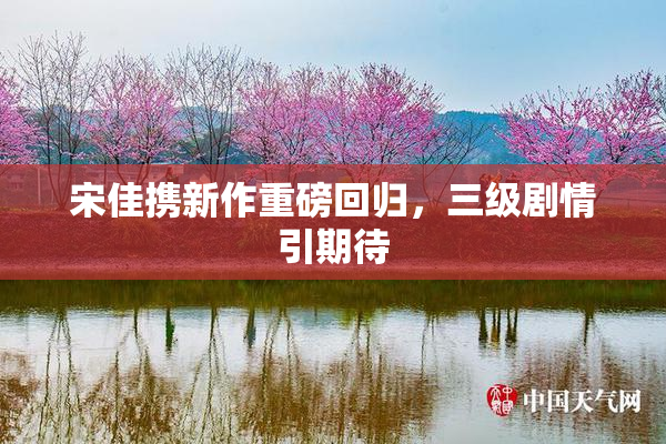 宋佳携新作重磅回归，三级剧情引期待