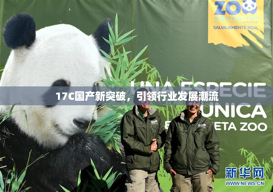 17C国产新突破，引领行业发展潮流