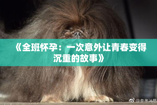 《全班怀孕：一次意外让青春变得沉重的故事》