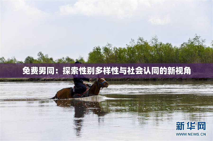 免费男同：探索性别多样性与社会认同的新视角