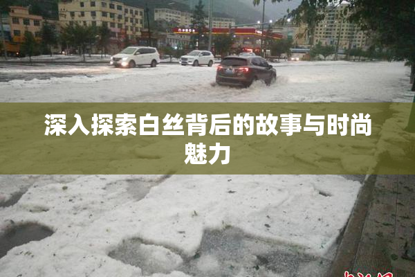 深入探索白丝背后的故事与时尚魅力