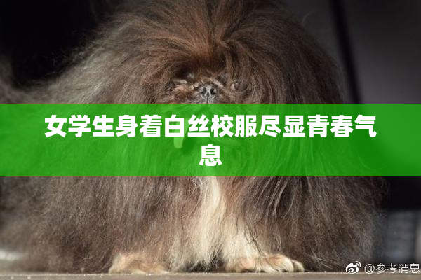 女学生身着白丝校服尽显青春气息