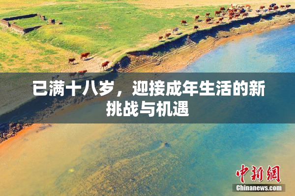 已满十八岁，迎接成年生活的新挑战与机遇