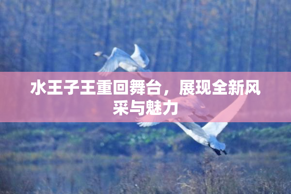 水王子王重回舞台，展现全新风采与魅力