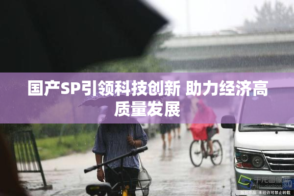 国产SP引领科技创新 助力经济高质量发展