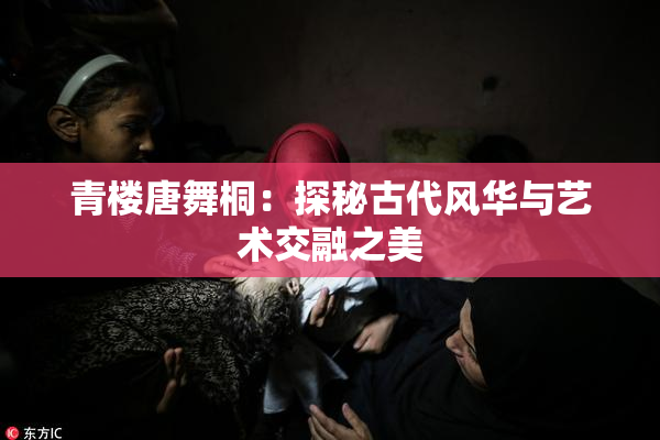 青楼唐舞桐：探秘古代风华与艺术交融之美