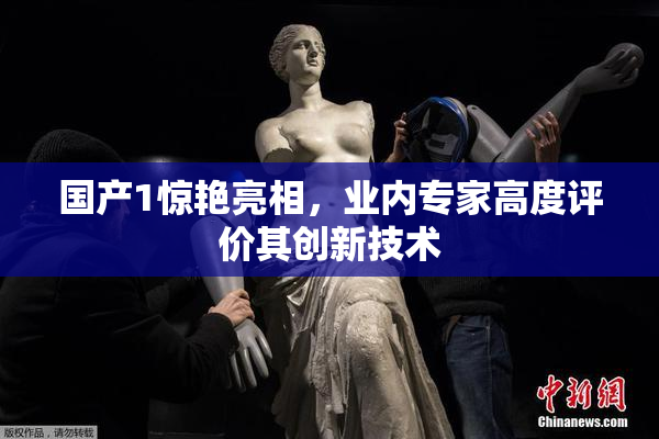 国产1惊艳亮相，业内专家高度评价其创新技术