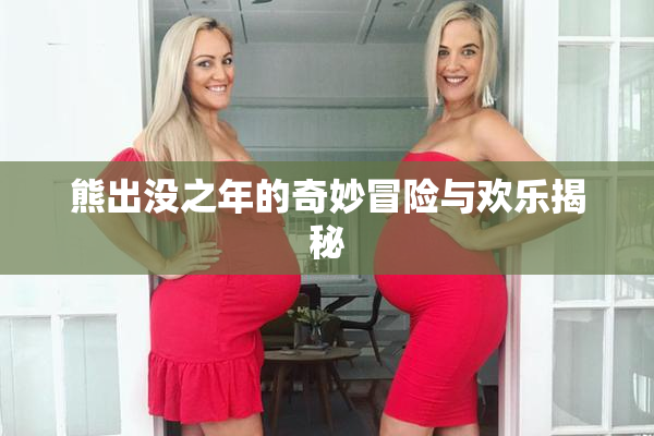 熊出没之年的奇妙冒险与欢乐揭秘