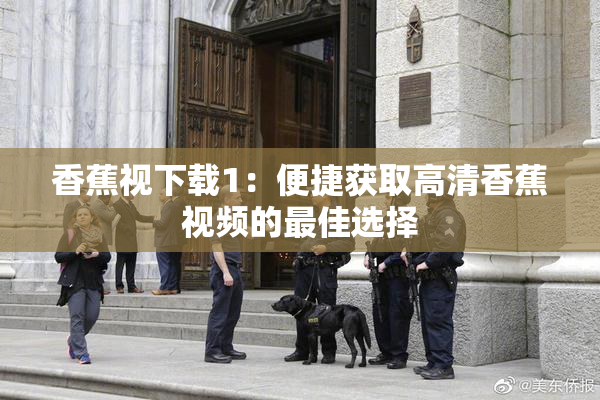 香蕉视下载1：便捷获取高清香蕉视频的最佳选择