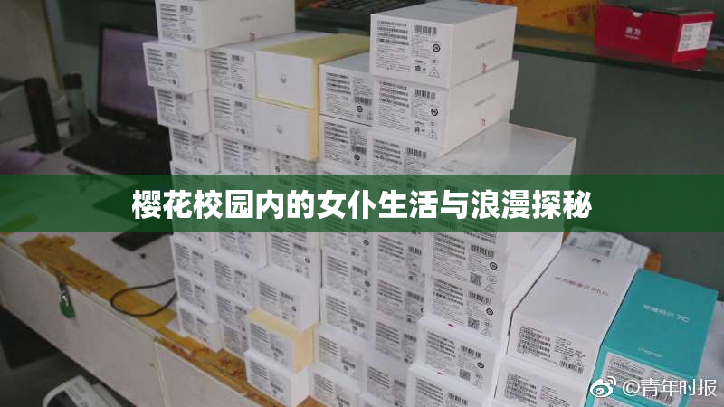 樱花校园内的女仆生活与浪漫探秘
