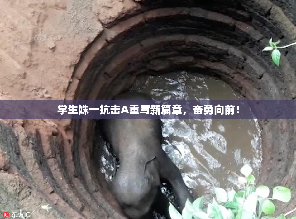 学生姝一抗击A重写新篇章，奋勇向前！