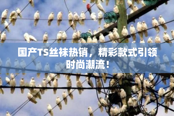 国产TS丝袜热销，精彩款式引领时尚潮流！