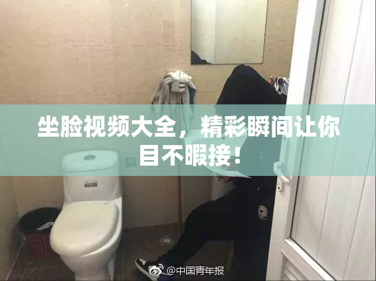 坐脸视频大全，精彩瞬间让你目不暇接！
